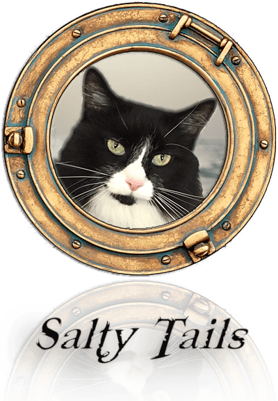 Salty Tails Rescue Cat