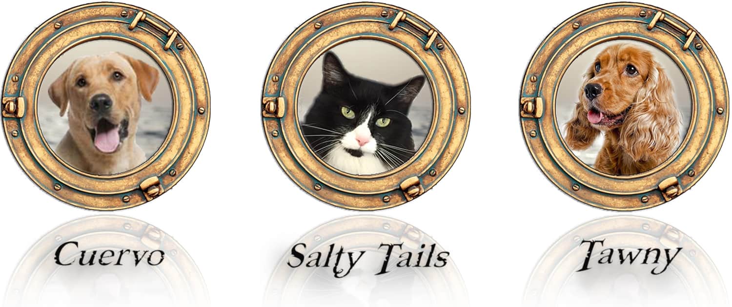 Salty Tails